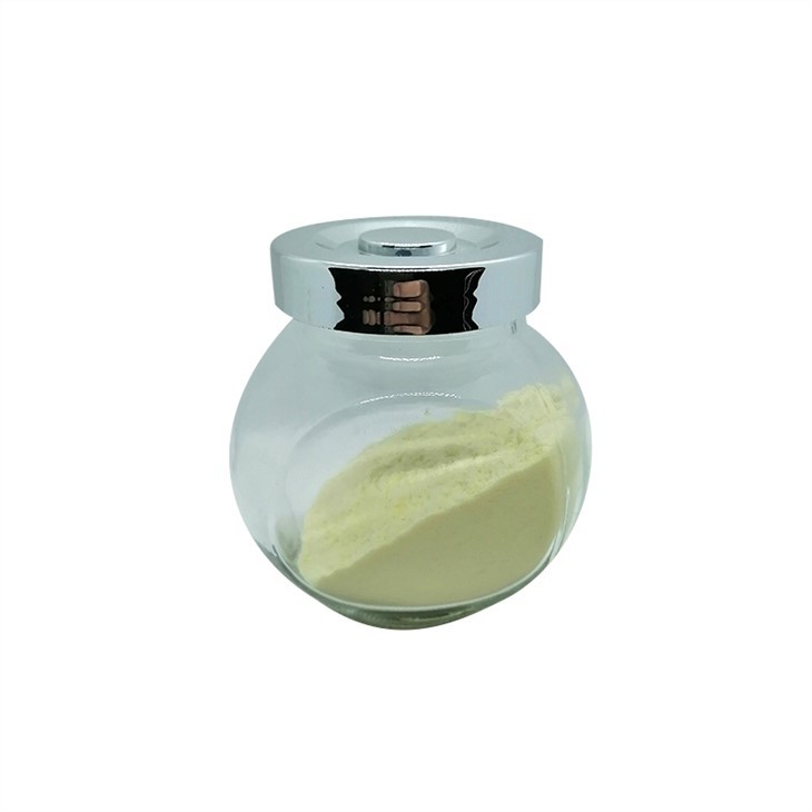 Lactobacillus Rhamnosus GG