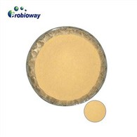 Bacillus Subtilis Krmná přísada