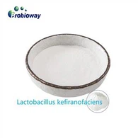 Lyofilizace Lactobacillus Kefiranofaciens