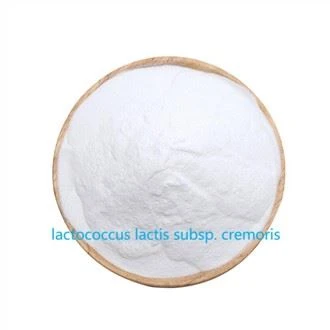 Zelený Lactococcus Lactis Subsp. Cremoris
