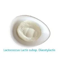 Organický Lactococcus Lactis Subsp. Diacetylactis