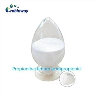 Patentovaný Propionibacterium Acidipropionici