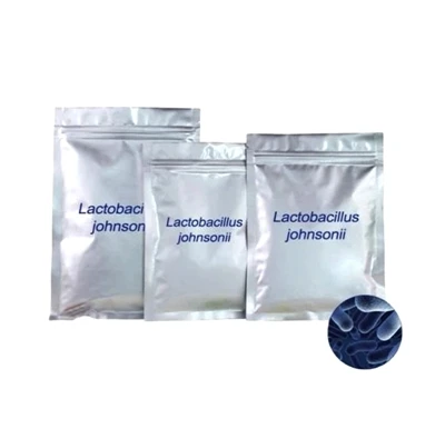 Prozkoumejte mnohočetné účinky a farmaceutický potenciál prášku Lactobacillus...