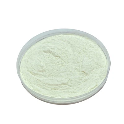 Lactobacillus Bulgaricus
