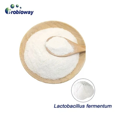 Z laboratoře k tabulce: všestranné aplikace L. fermentum v potravinářském prů...